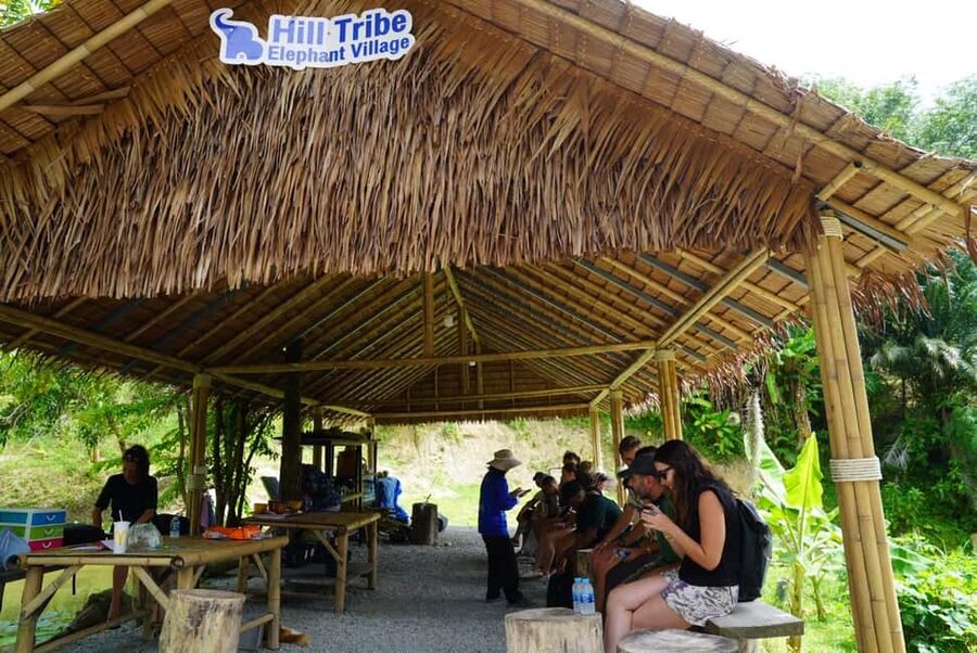 Phuket: Elephant Sanctuary Guided Tour with Hotel Transfers - Preparing Herbal Food and Feeding by Hand