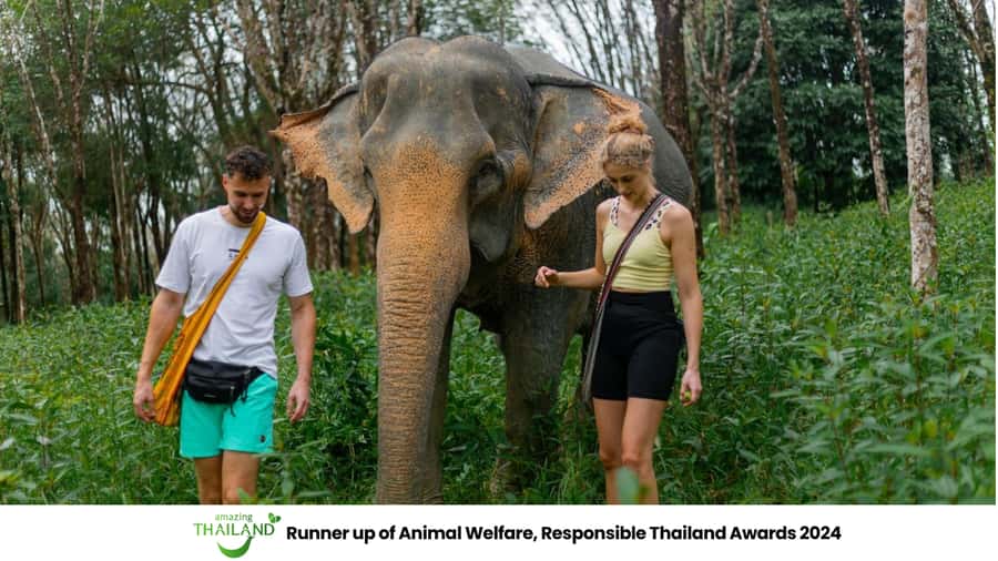 Phuket: Elephant Sanctuary Tour, Cooking Class & Lunch - Key points to know before booking