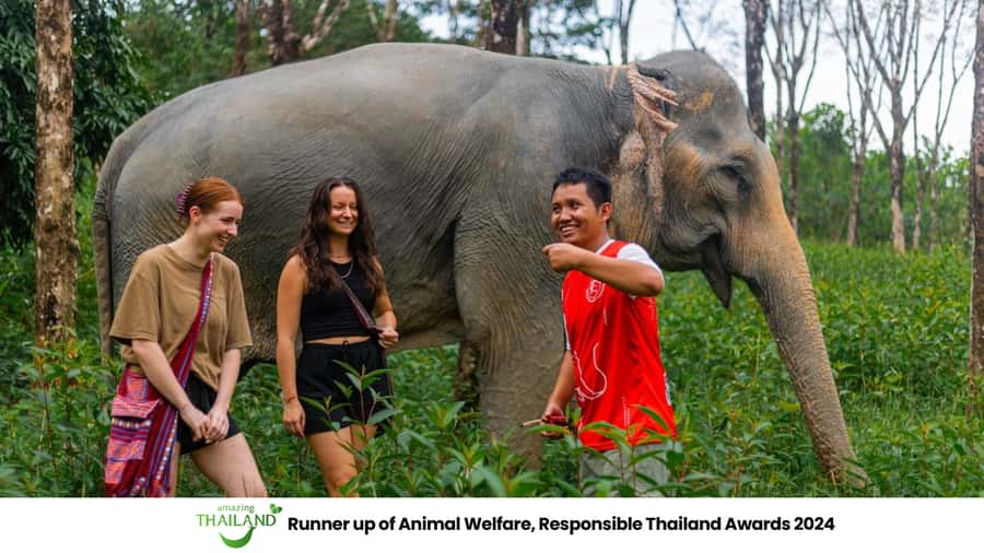 Phuket: Elephant Sanctuary Tour, Cooking Class & Lunch - Why this sanctuary visit feels different