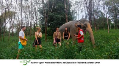 Phuket: Elephant Sanctuary Tour, Cooking Class & Lunch