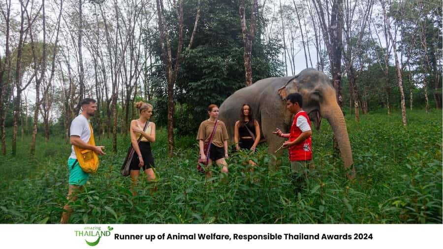 Phuket: Elephant Sanctuary Tour, Cooking Class & Lunch - The two-hour ride from Khao Lak or Phuket