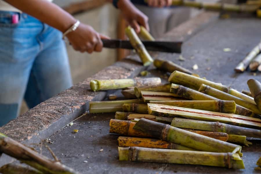 Phuket: Ethical Elephant Sanctuary Experience - What to pack for a better day