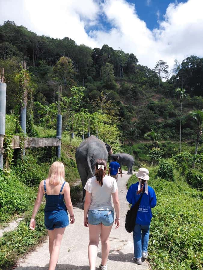Phuket: Ethical Elephant Sanctuary Experience - The Thai cooking class and lunch