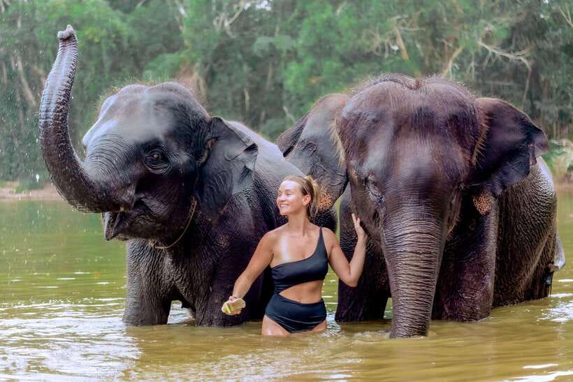 Phuket: Ethical Elephant Sanctuary Experience - Who will enjoy this experience most?