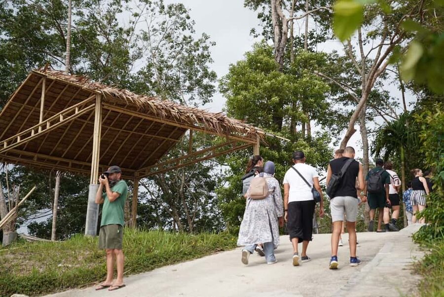 Phuket: Guide Tour to Patong Elephant Sanctuary - Cutting Banana Trees and Gathering Fresh Grass