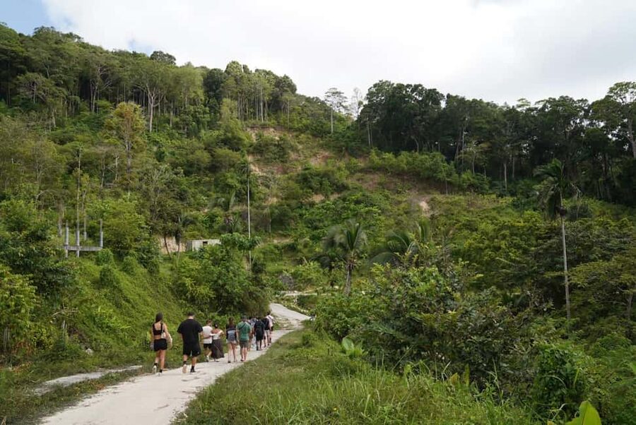 Phuket: Guide Tour to Patong Elephant Sanctuary - Is $45 a Fair Price?