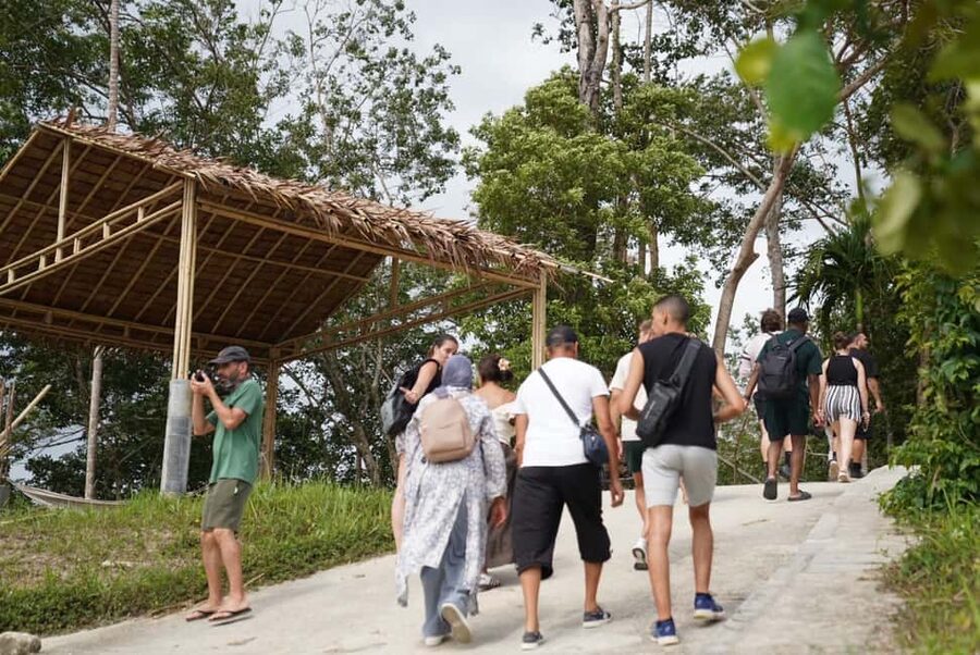 Phuket: Guided Tour to Elephant Sanctuary & Hotel Transfer - Walking, bathing, and watching from a respectful distance
