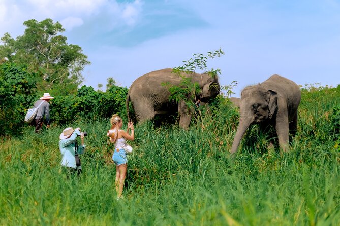 Phuket Guided Tour to Elephant Sanctuary with Hotel Transfers - Feeding time, food preparation, and gentle contact