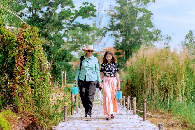 Phuket Guided Tour to Elephant Sanctuary with Hotel Transfers - A short tour with a clear rhythm