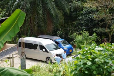 Phuket : Guided Tour to Elephant Sanctuary with Transfers