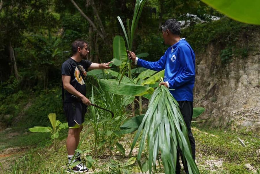 Phuket : Guided Tour to Elephant Sanctuary with Transfers - Is $45 a Fair Price?
