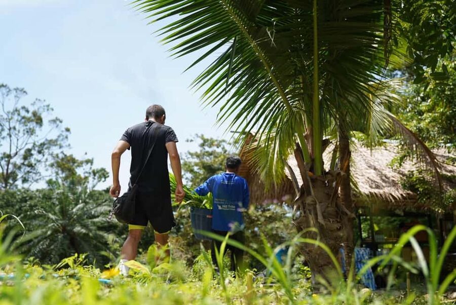 Phuket : Guided Tour to Elephant Sanctuary with Transfers - Practical Timing and Booking Advice