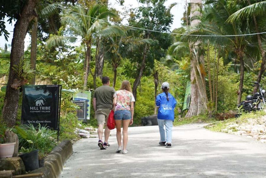 Phuket: Patong Elephant Sanctuary Observe & Learn Experience - What ethical means here