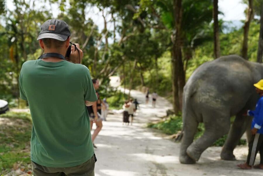 Phuket: Patong Elephant Sanctuary Observe & Learn Experience - Getting there from Phuket