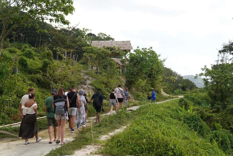 Phuket: Patong Elephant Sanctuary Observe & Learn Experience - The $51 price and what you receive