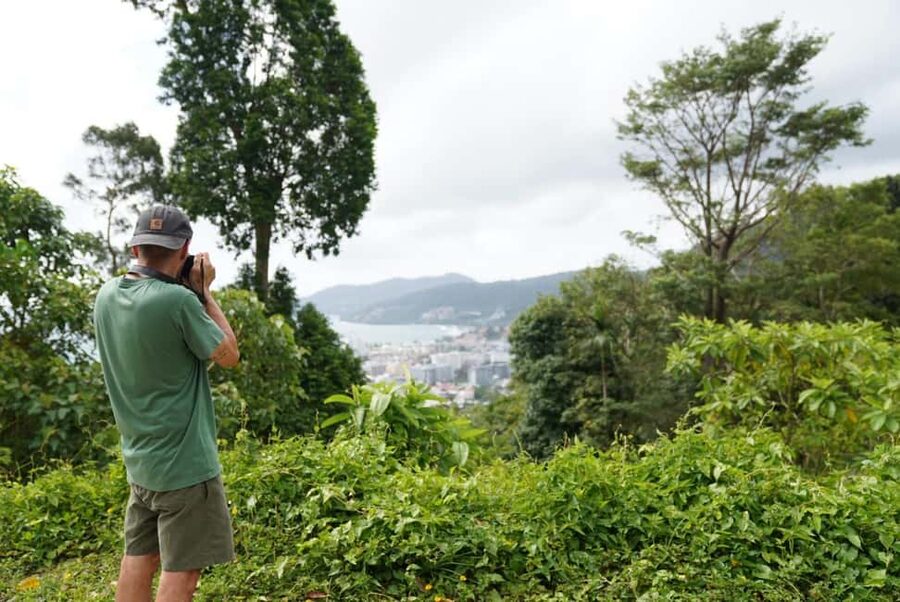 Phuket: Patong Elephant Sanctuary Observe & Learn Experience - Walking the forest trails beside free-roaming elephants