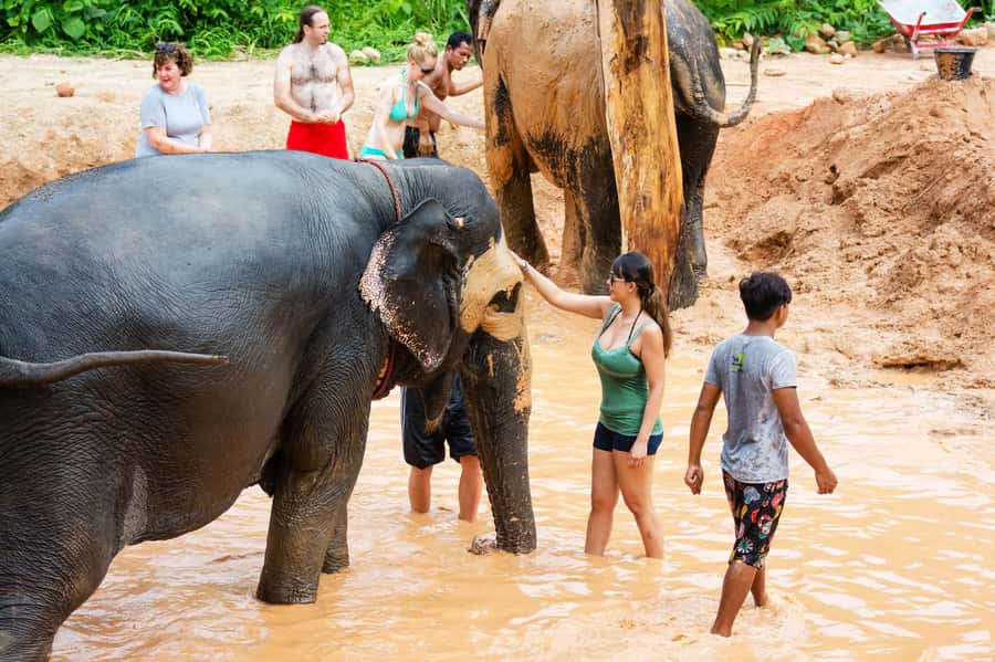 Phuket: Phuket Elephant Sanctuary, Wat Chalong & more - Key points to know before booking