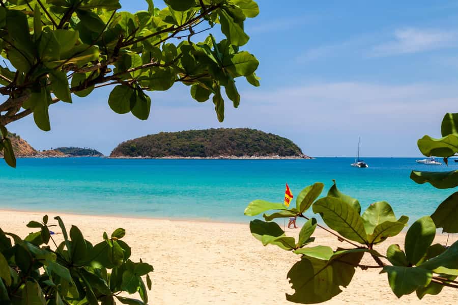 Phuket: Phuket Elephant Sanctuary, Wat Chalong & more - What the $192 price really covers