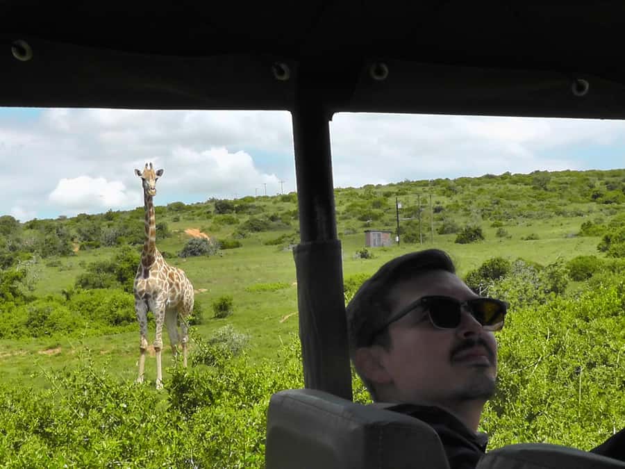 Port Elizabeth:2-Day Schotia Safaris & Addo Wildlife Reserve - Two days of wildlife without a rushed day trip