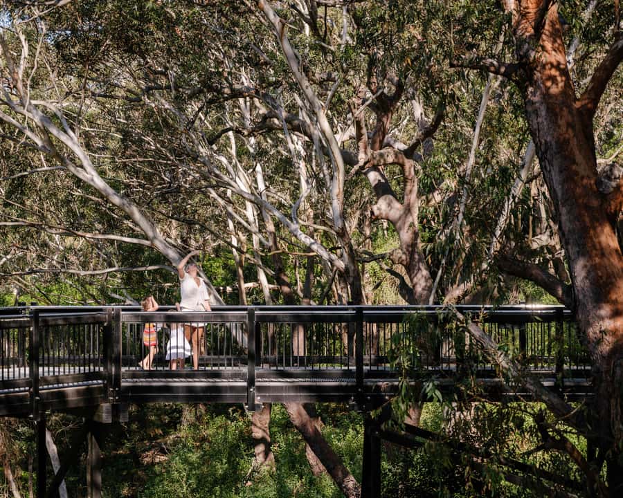 Port Stephens: Koala Sanctuary General Admission Ticket - Should you book Port Stephens Koala Sanctuary?