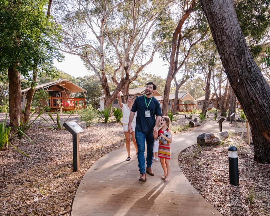 Port Stephens: Koala Sanctuary General Admission Ticket - Look into a working Koala Hospital