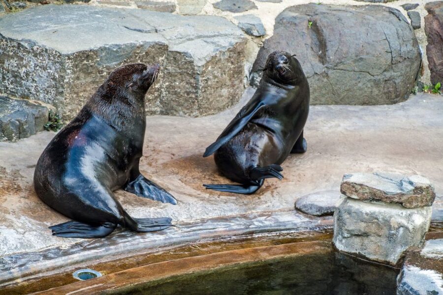 Prague: Boat Ride to the Zoo and Admission Ticket - What happens at the Prague Zoo entrance