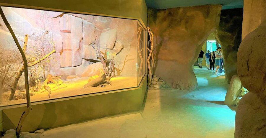 Prague: Prague Zoo Audio Guide with E-Ticket - Key points about Prague Zoo with audio guide