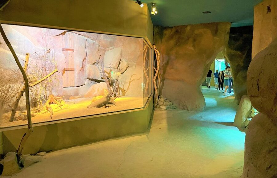 Prague: Prague Zoo Audio Guide with E-Ticket - Using the two maps without getting turned around