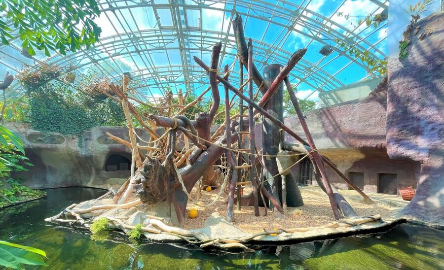 Prague: Prague Zoo Audio Guide with E-Ticket - Pavilions, enclosures, and animal viewing