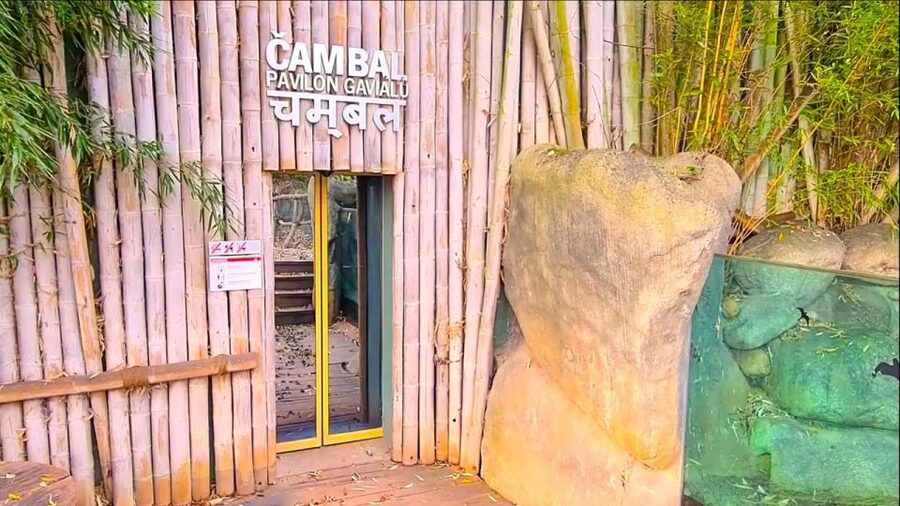 Prague: Prague Zoo Audio Guide with E-Ticket - Who will get the most from this visit?