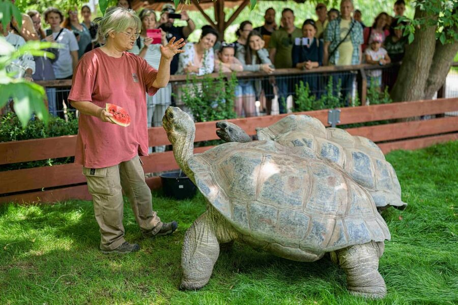 Prague Zoo: Skip-the-Line Entry Ticket - Why Prague Zoo deserves a day in your schedule
