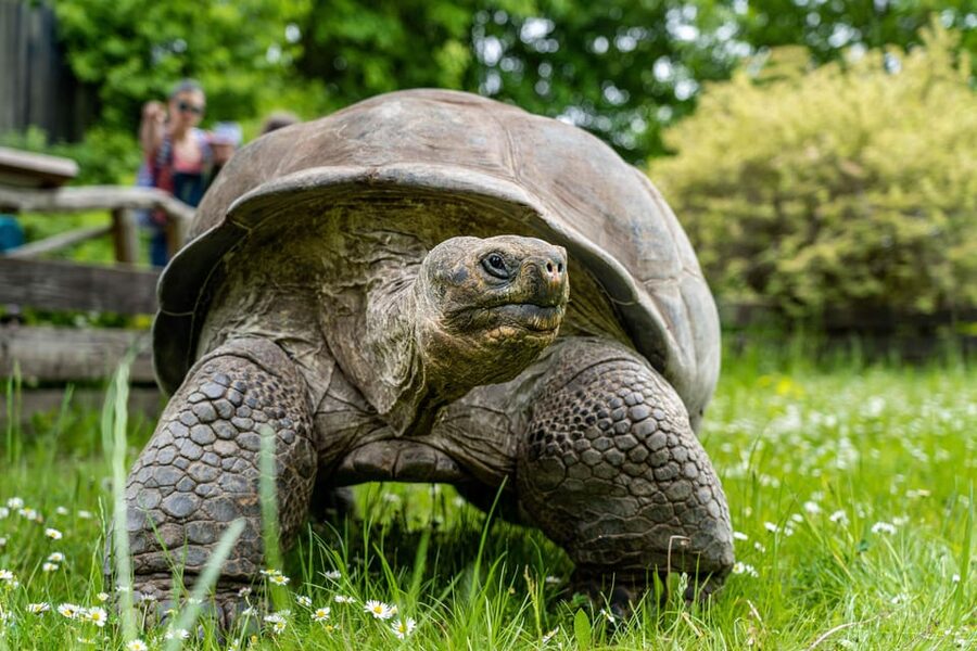 Prague Zoo: Skip-the-Line Entry Ticket - Food, toilets, and useful facilities