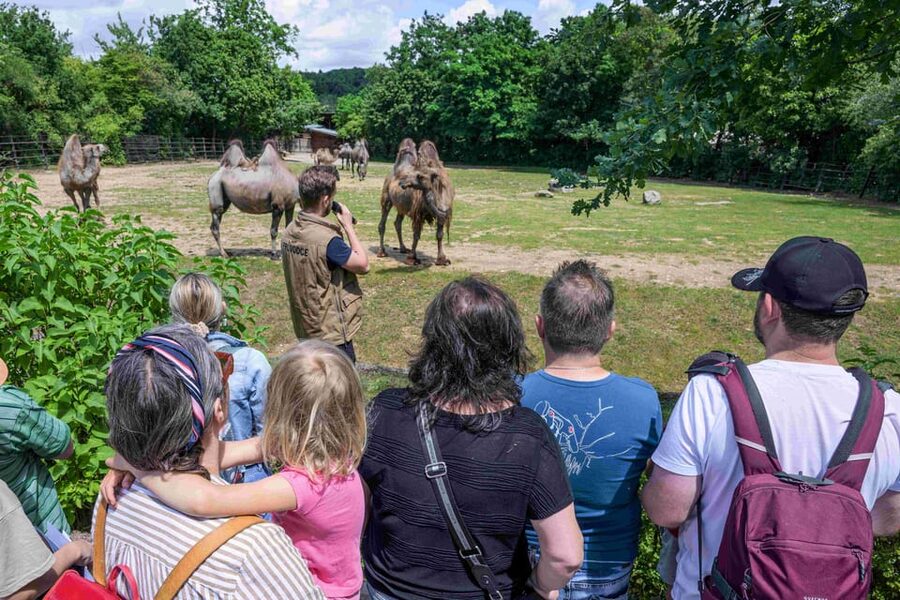 Prague Zoo: Skip-the-Line Entry Ticket - Best seasons and opening hours