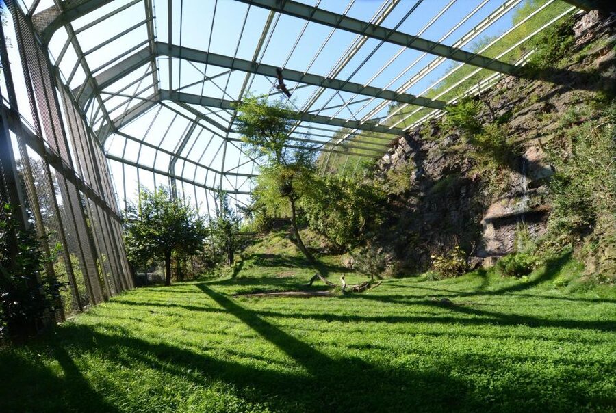 Prague Zoo Skip-the-line Tickets and Private Transfers - What you can see across the zoo
