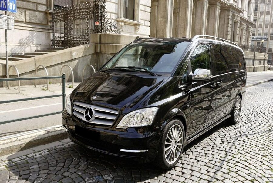 Prague Zoo Skip-the-line Tickets and Private Transfers - The return ride needs a little care