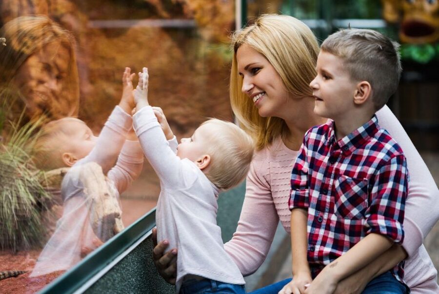 Prague Zoo Skip-the-line Tickets and Private Transfers - Is $132 per person fair?