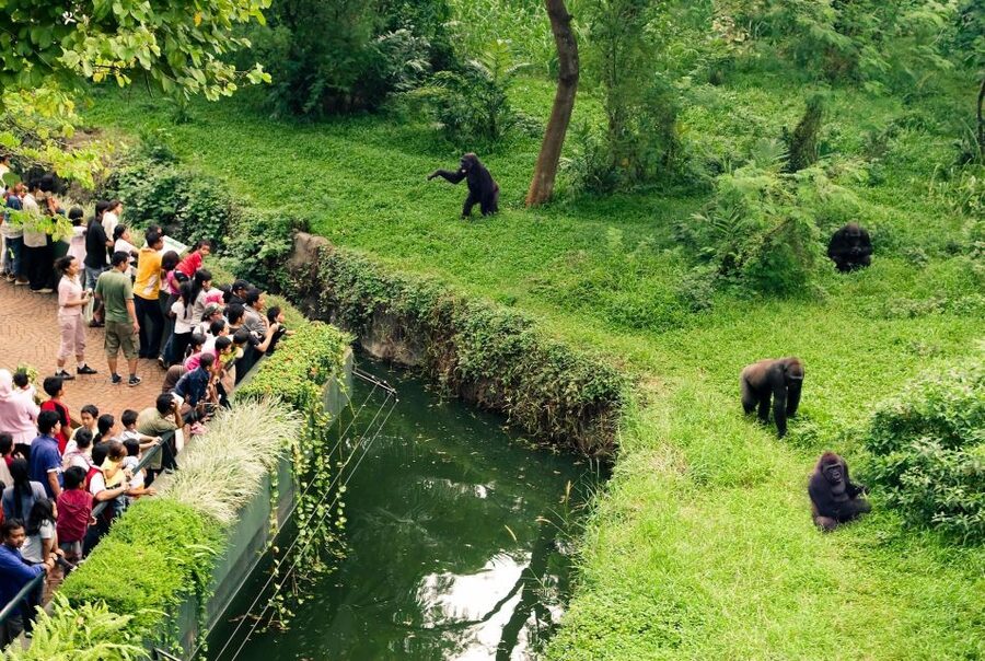 Prague Zoo Skip-the-line Tickets and Private Transfers - What is included, and what is not