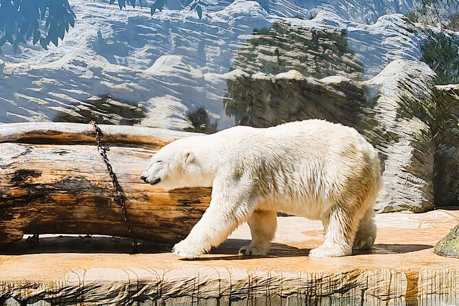 Prague Zoo Ticket with Online Audio Guide - Prague Zoo in Troja: A Half-Day of Animals and Stories