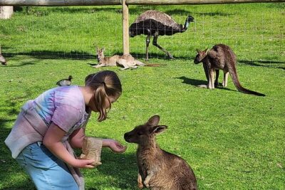 Premium Adelaide Hills Cleland Wildlife and Hahndorf Minibus Tour