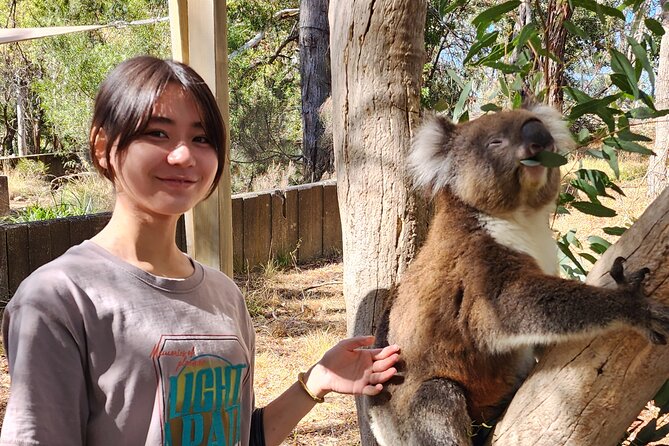 Premium Adelaide Hills Cleland Wildlife and Hahndorf Minibus Tour - Hahndorf gives you the day’s breathing space