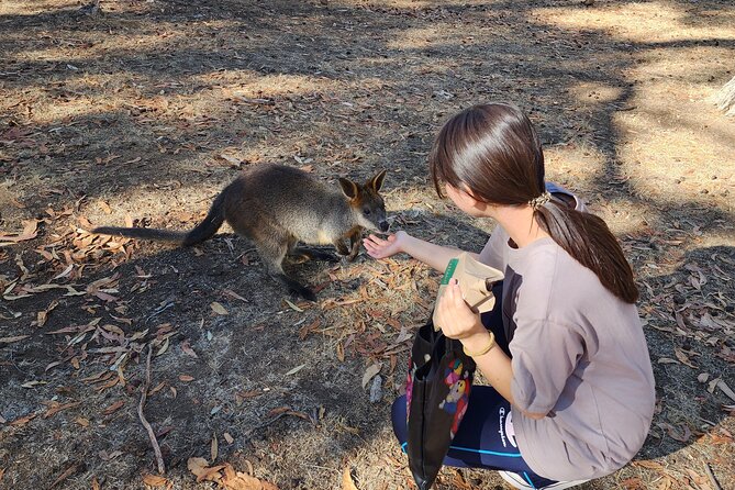 Premium Adelaide Hills Cleland Wildlife and Hahndorf Minibus Tour - The guide can shape the whole day