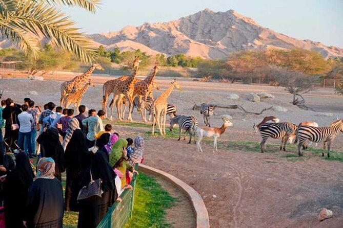Private Al Ain Tour by 4x4 Vehicle with Zoo Tickets - Leaving Dubai for Al Ain’s greener side