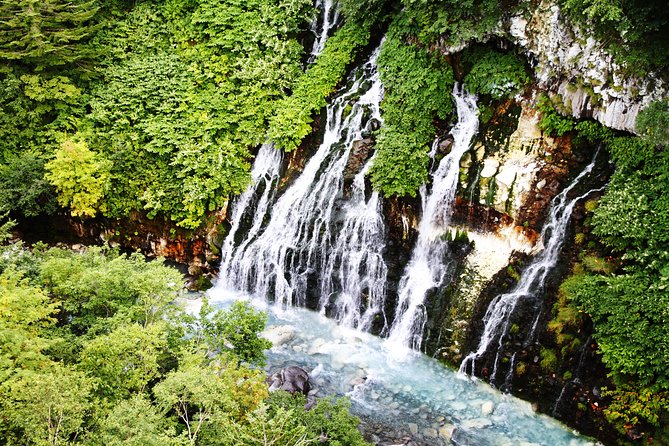 【Private Car】Asahiyama Zoo, Blue Pond, Shirahige Falls, Ningle Terrace (from Sapporo) - Blue Pond: beautiful, but weather matters
