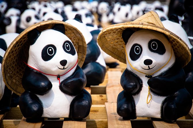Private Day Tour: Dujiangyan Panda Base and Irrigation Project - Lunch and the practical gap in the inclusions
