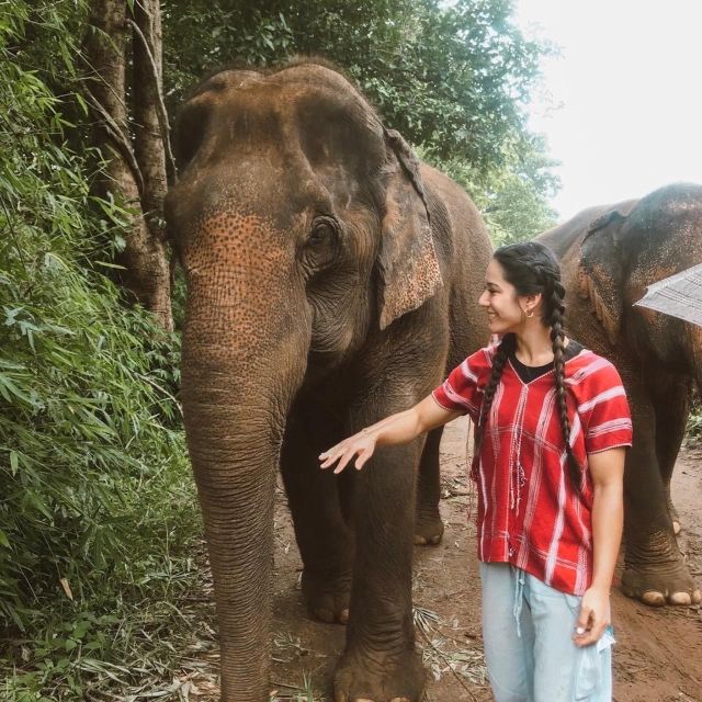 Private Doi Inthanon, Nature Trail, Wat Phra That Doi Kham - Who will get the most from this day