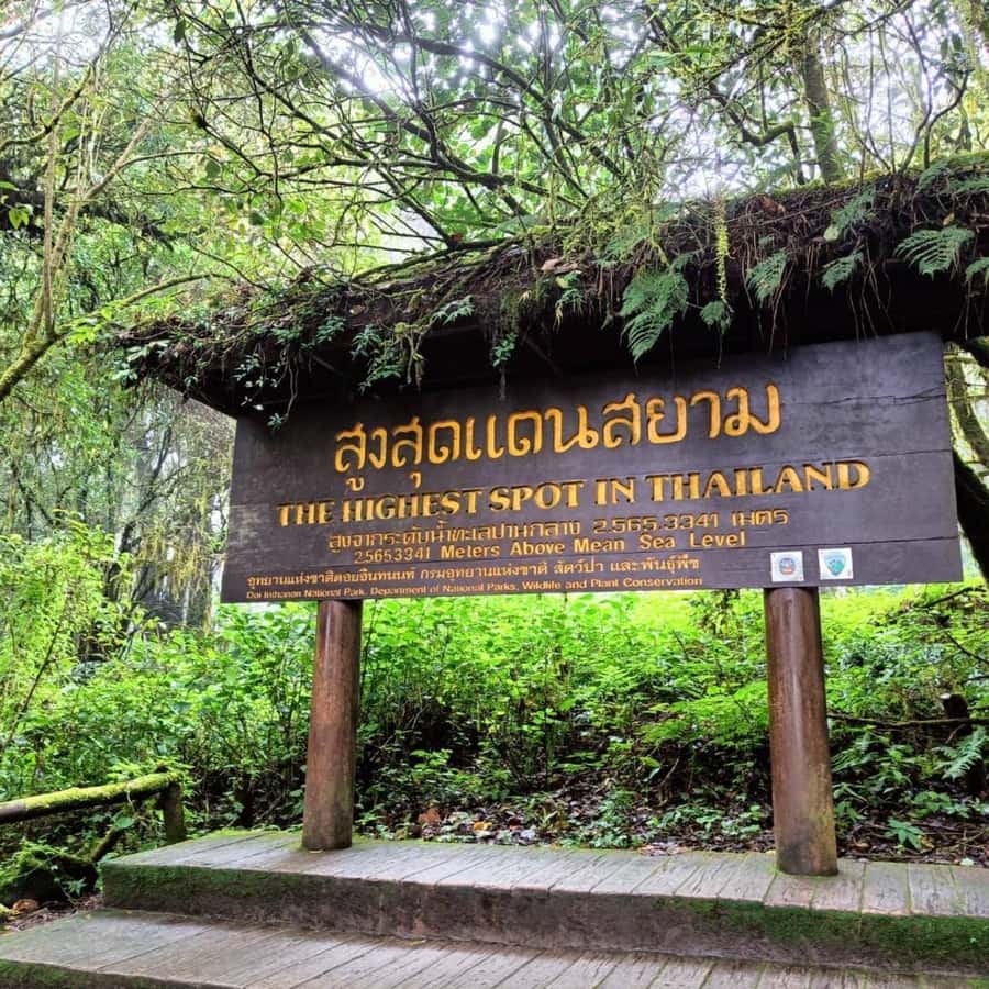 Private Doi Inthanon, Nature Trail, Wat Phra That Doi Kham - Why Doi Inthanon makes a worthwhile day from Chiang Mai