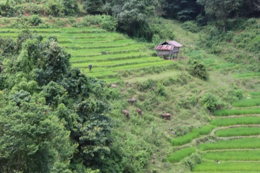 Private Doi Inthanon, Nature Trail, Wat Phra That Doi Kham - Lunch, then the broad rush of Wachirathan Waterfall