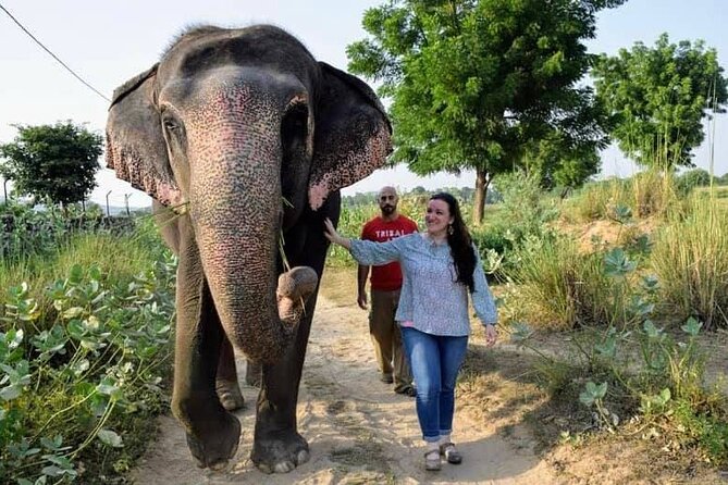 Private Elephant Sanctuary - Meeting an elephant instead of watching one