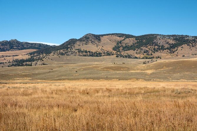 Private Evening/Sunset Wildlife Encounter Tour - Why Lamar Valley Makes This Evening Tour Special