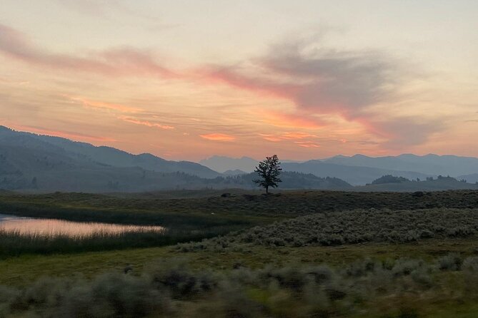 Private Evening/Sunset Wildlife Encounter Tour - Yellowstone Beyond the Famous Geysers